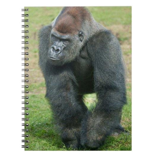 Carnet Langage de force du gorille (Devant)