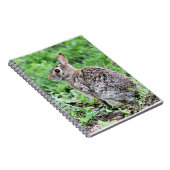 Carnet Lapin (Côté Droit)