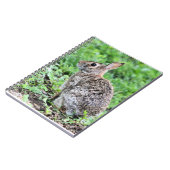 Carnet Lapin (Côté gauche)