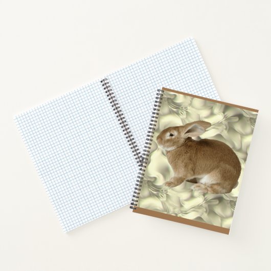 Carnet lapin (Intérieur)