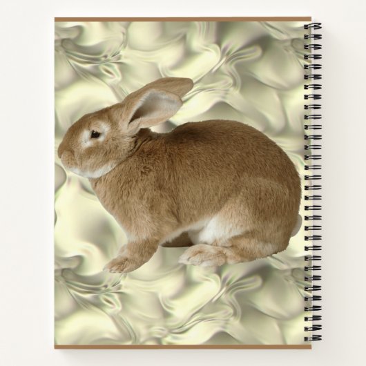 Carnet lapin  (Dos)