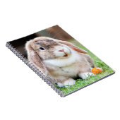 Carnet lapin à oreilles de lop mignon (Côté Droit)