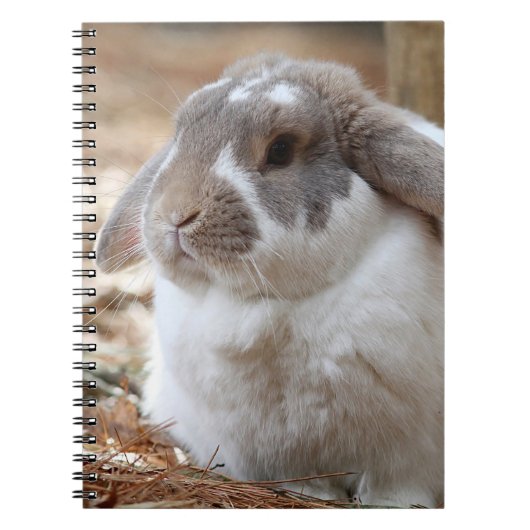 Carnet Lapin aux oreilles tombantes (Devant)