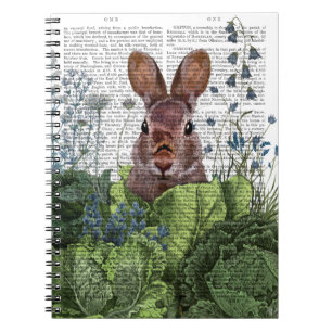 Carnet Lapin dans un patch de choux
