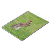 Carnet Lapin debout dans l'herbe et l'air timide (Côté gauche)