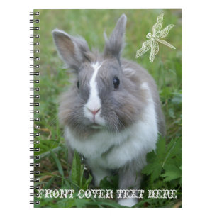 Carnet Lapin lapin