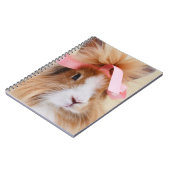 Carnet Lapin Lapin Lapin Lionhead Fluffy (Côté gauche)