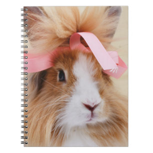 Carnet Lapin Lapin Lapin Lionhead Fluffy