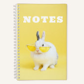 Carnet Lapin mignon en lunettes (Recto)