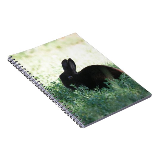 Carnet Lapin noir de Lil (Côté Droit)
