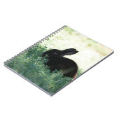 Carnet Lapin noir de Lil (Côté gauche)