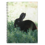 Carnet Lapin noir de Lil (Devant)
