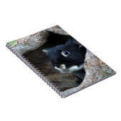 Carnet Lapin noir en creux d'un arbre (Côté Droit)