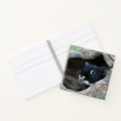 Carnet Lapin noir en creux d'un arbre photo (Intérieur)