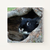 Carnet Lapin noir en creux d'un arbre photo (Dos)