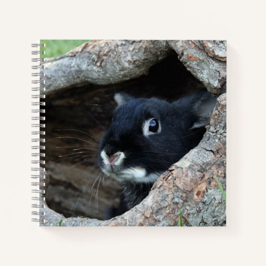 Carnet Lapin noir en creux d'un arbre photo (Devant)