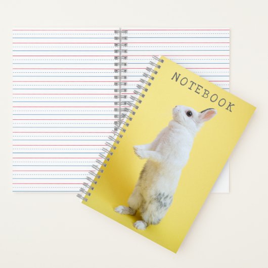 Carnet Lapin sur Jaune (À l'intérieur)