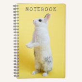 Carnet Lapin sur Jaune (Recto)