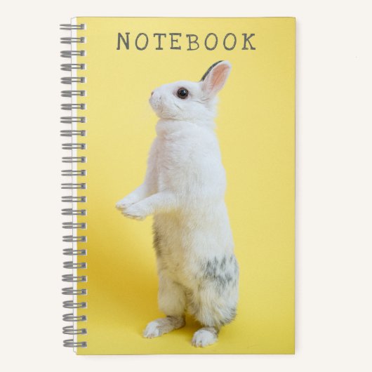 Carnet Lapin sur Jaune (Recto)