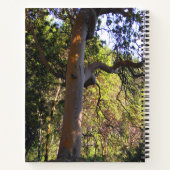 Carnet L'arbre hanté.... (Dos)