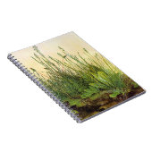 Carnet Large Turf - Albrecht Durer - c1503 (Côté Droit)