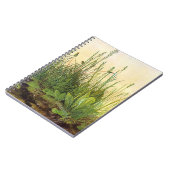 Carnet Large Turf - Albrecht Durer - c1503 (Côté gauche)