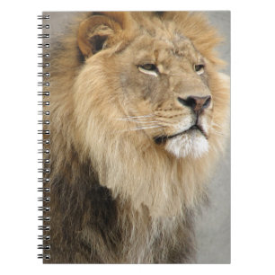 Carnet L'art des amoureux du lion