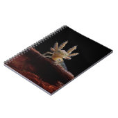 Carnet Larve crêté de triton (Côté gauche)