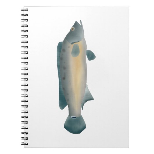 Carnet Lateral Striped Pike Cichlid (Devant)