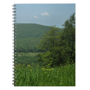 Carnet Laurel Highlands Pennsylvania Summer Photography