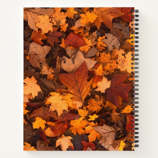 Carnet l'automne (Dos)