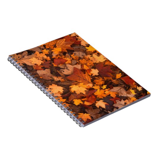 Carnet l'automne (Côté Droit)