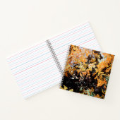 Carnet L'automne torride.... (Intérieur)