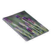 Carnet Lavande mexicaine (Côté Droit)