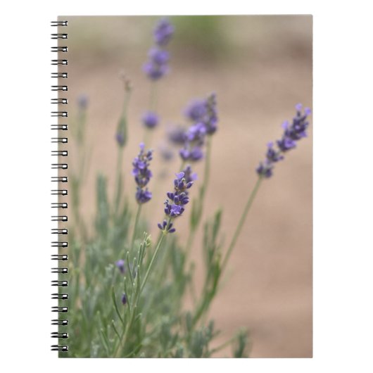 Carnet Lavendar Carnet/Journal (Devant)