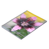 Carnet Lavender Lily Spiral (Côté gauche)