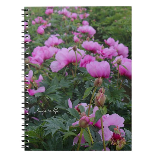Carnet Lavender Peonies (Devant)