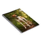 Carnet L'aventure de Bella sur le sentier boisé (Côté Droit)
