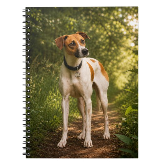Carnet L'aventure de Bella sur le sentier boisé (Devant)