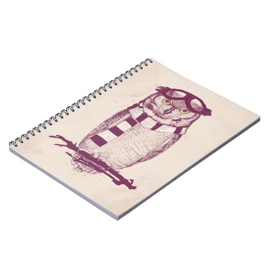 Carnet L'aviateur (Côté gauche)