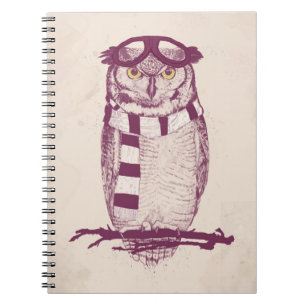 Carnet L'aviateur