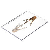 CARNET LE BAISER (Côté gauche)