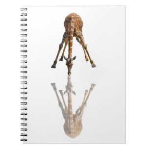 CARNET LE BAISER