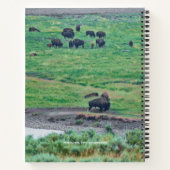 Carnet Le bison américain (Dos)