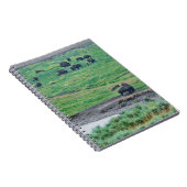 Carnet Le bison américain (Côté Droit)