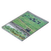 Carnet Le bison américain (Côté gauche)