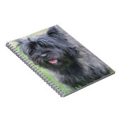 Carnet Le Caire (Côté Droit)