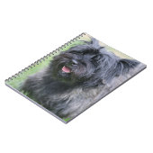 Carnet Le Caire (Côté gauche)