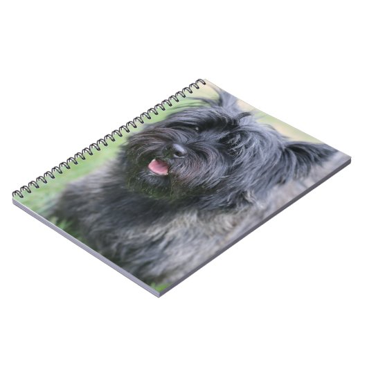 Carnet Le Caire (Côté gauche)