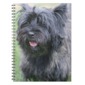 Carnet Le Caire (Devant)